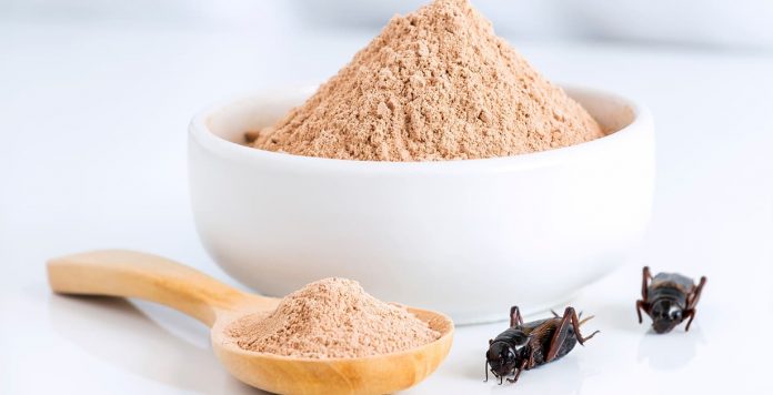 CricketFlour