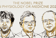 Nobel per la Medicina 2026, premiati i pionieri dell’optogenetica