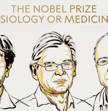 Nobel per la Medicina 2026, premiati i pionieri dell’optogenetica